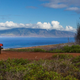 Illustration for article titled Hawai‘i Would Like Tourists To Stop Using U-Haul Instead Of Rental Cars